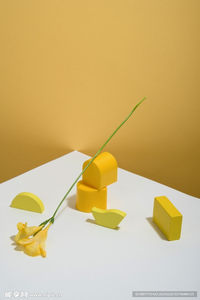 静物摄影