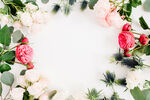 玫瑰花