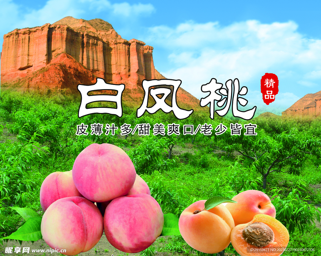 白凤桃
