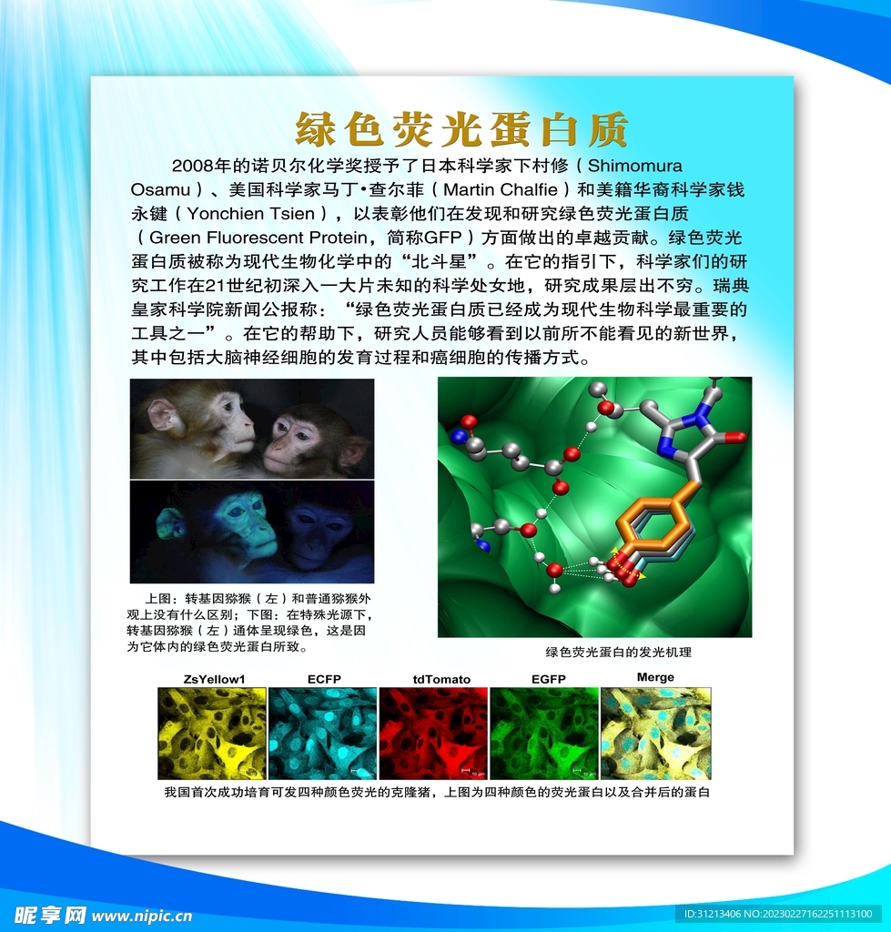 化学知识展板图片