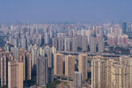 城市