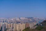城市