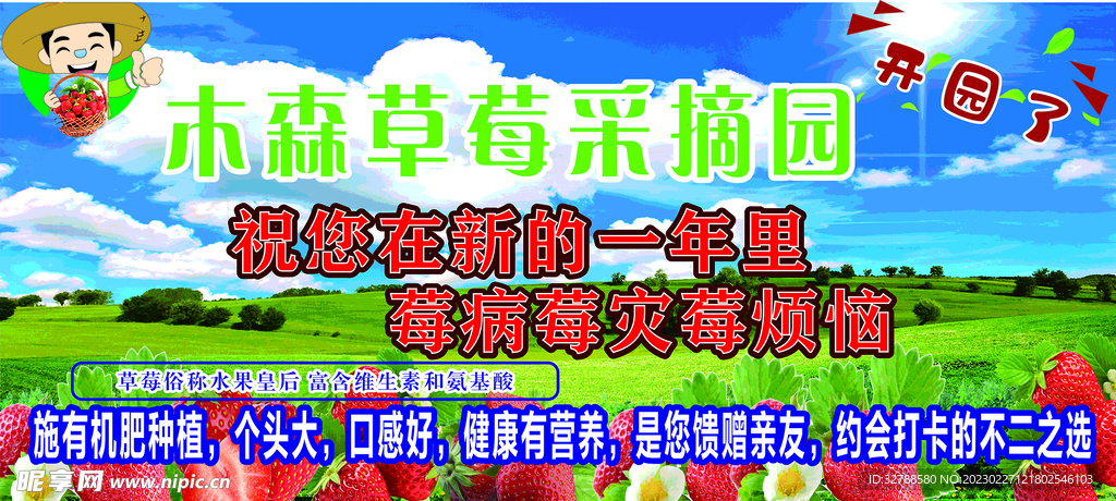 草莓采摘园