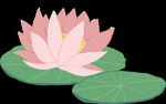 水彩花卉