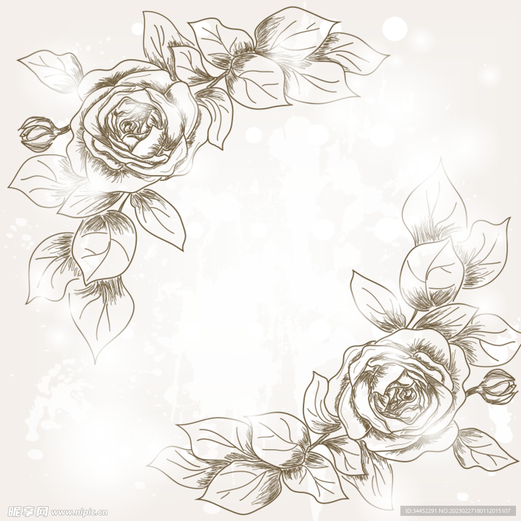 花卉