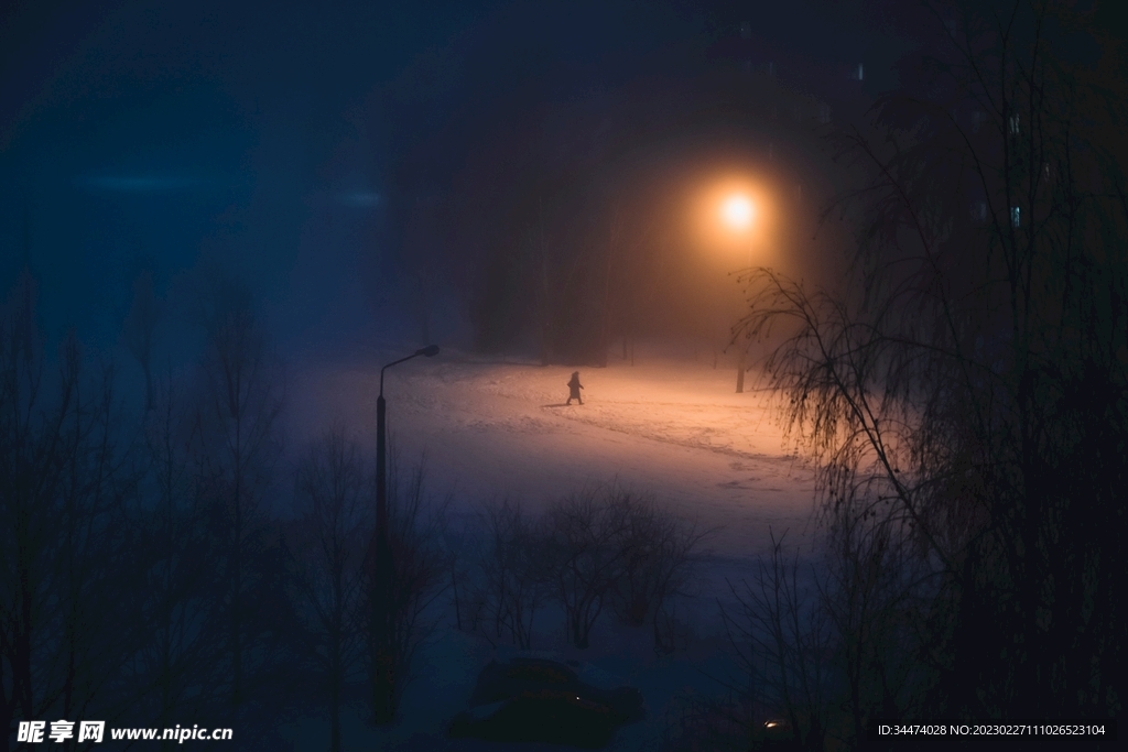 灯光雪景图
