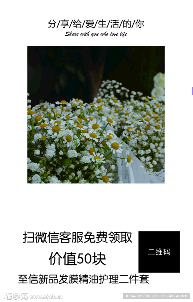 小雏菊好评卡