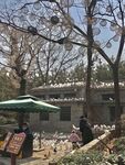 开封万岁山