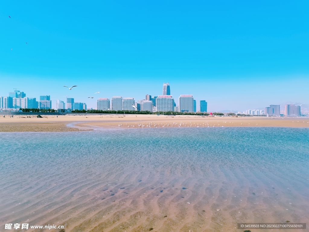 城市与海