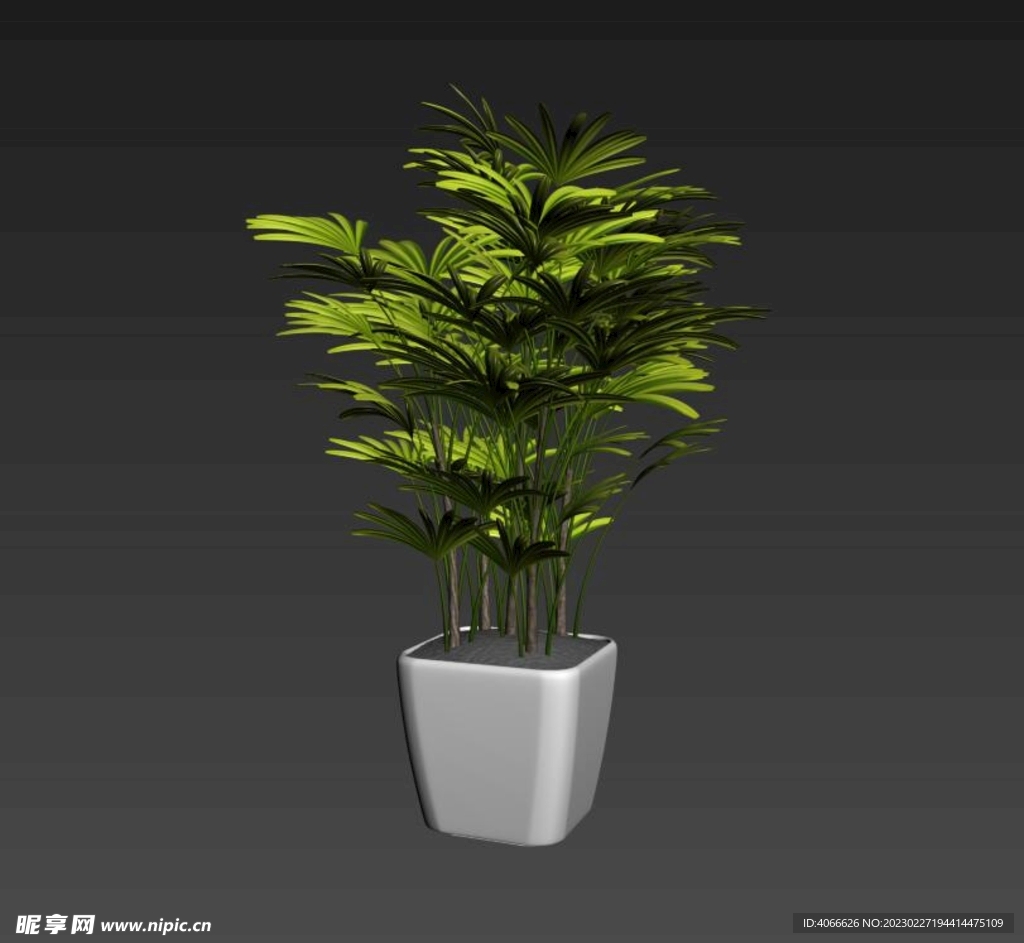 植物3d模型