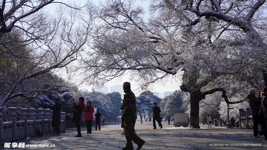 东北公园雪景雾凇