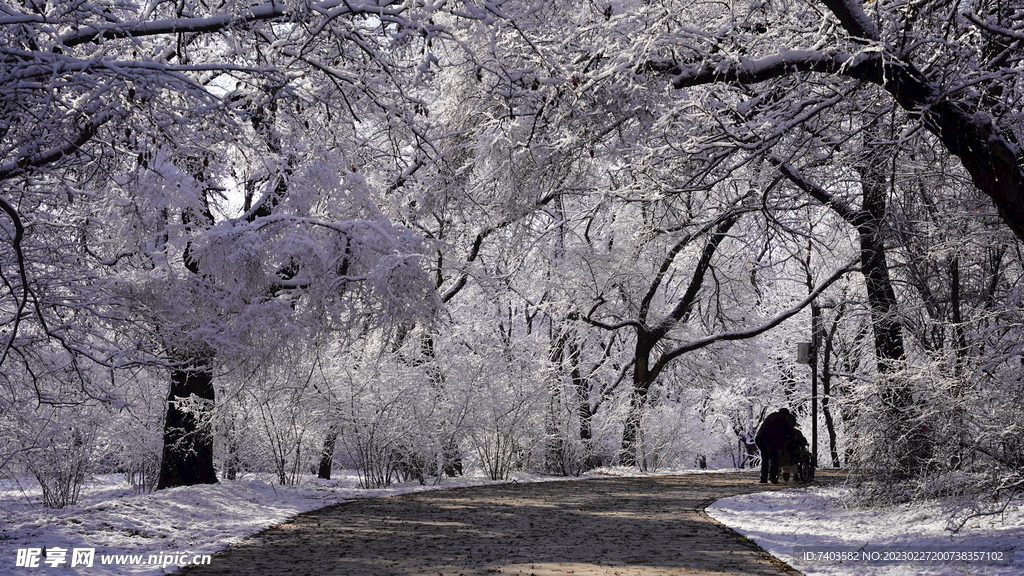 东北雾凇雪景老人