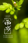 雨水