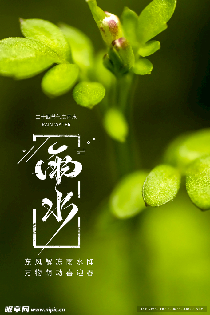 雨水