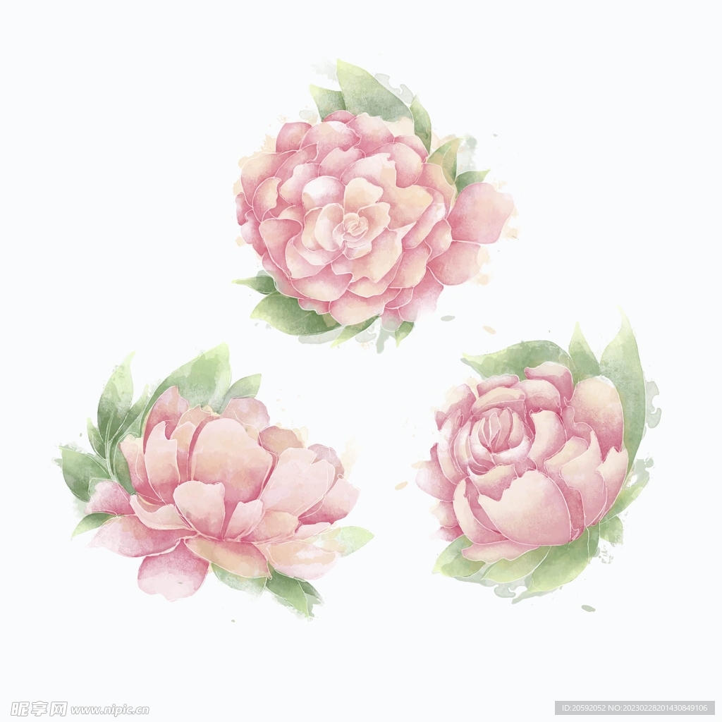 花纹  