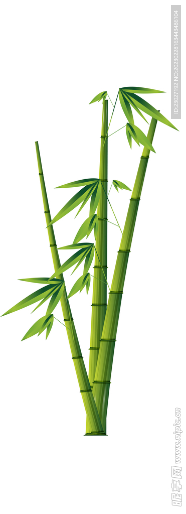 竹子