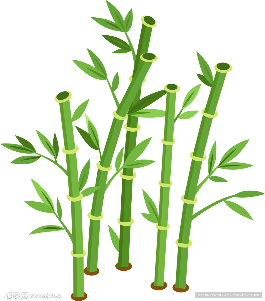竹子