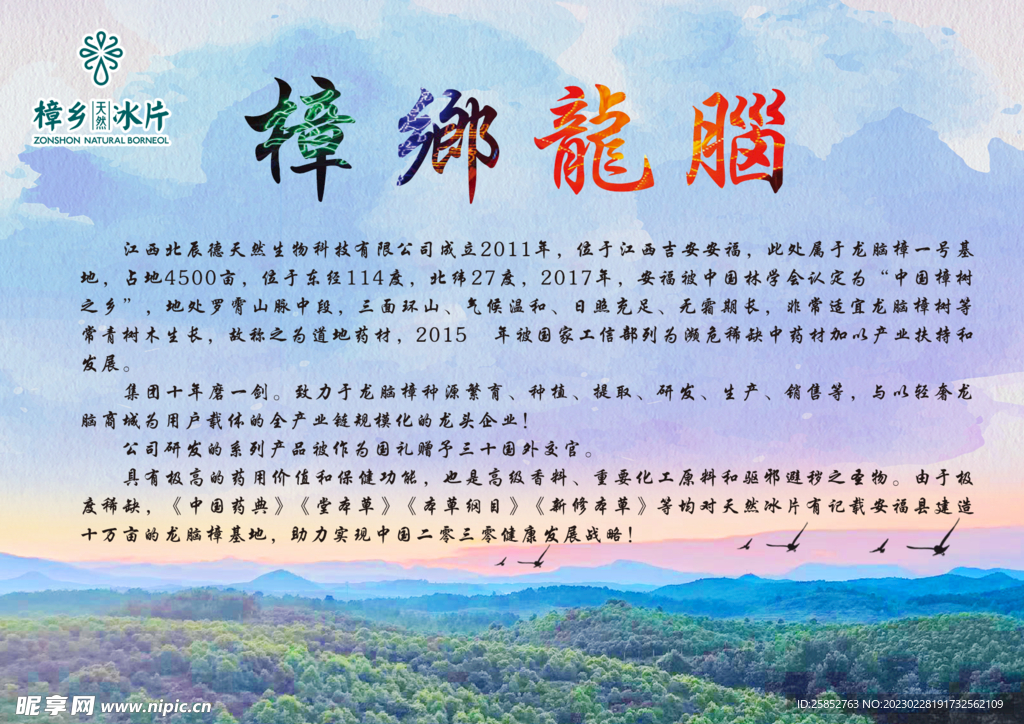 樟乡龙脑简介