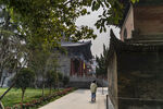 兴善寺庭院