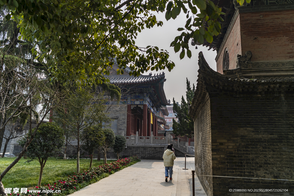 兴善寺庭院