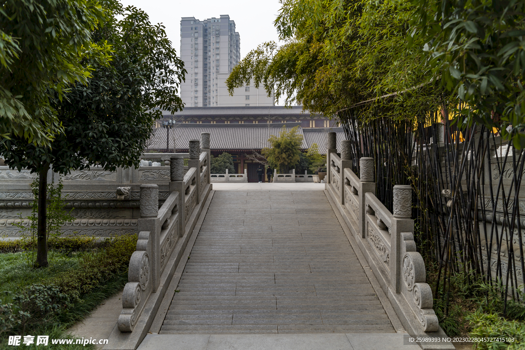 兴善寺庭院