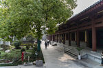 庭院