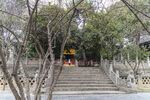 佛寺庭院