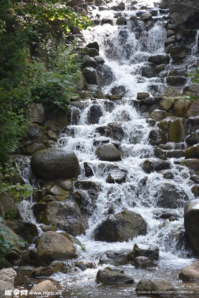 森林河流水流