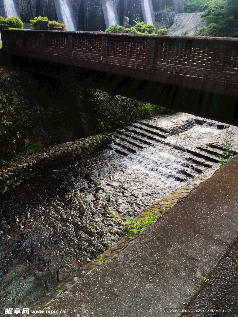 森林堤坝河流