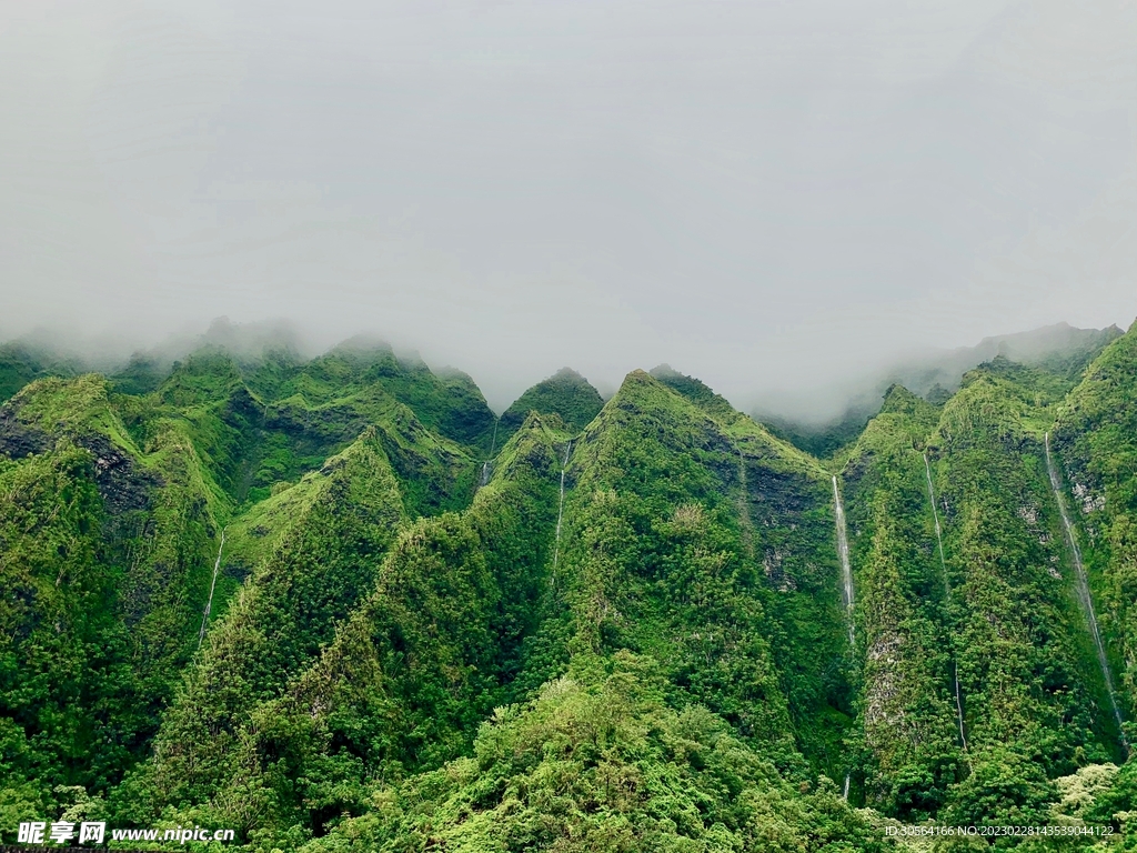 森林山峰瀑布