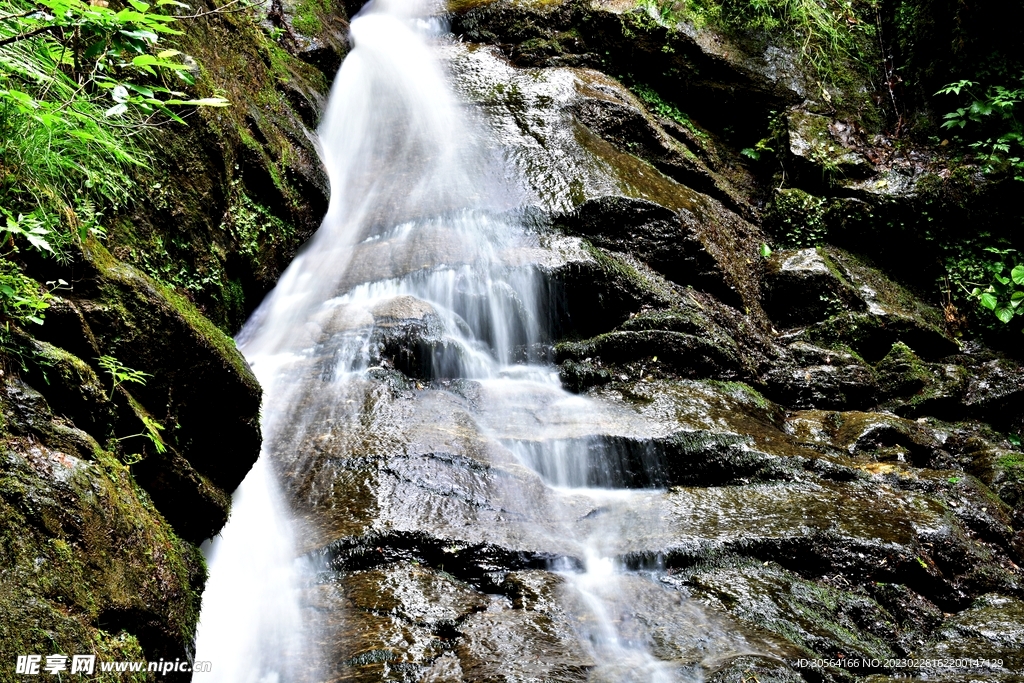 森林瀑布水流