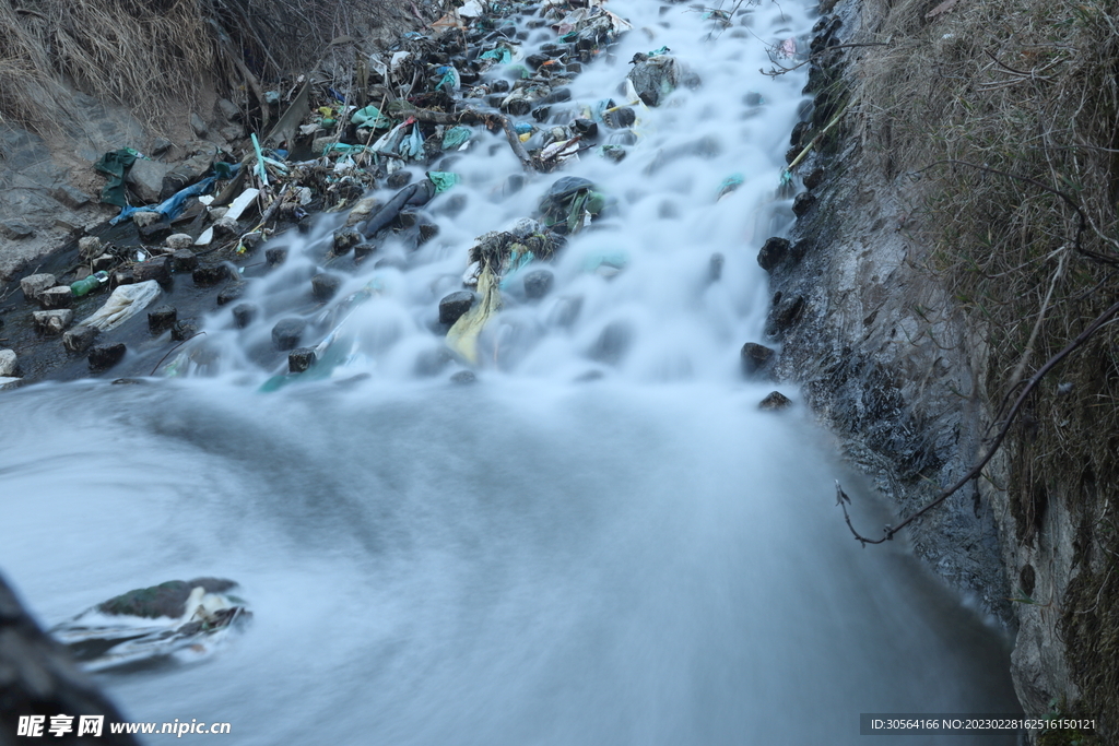 森林河流水流
