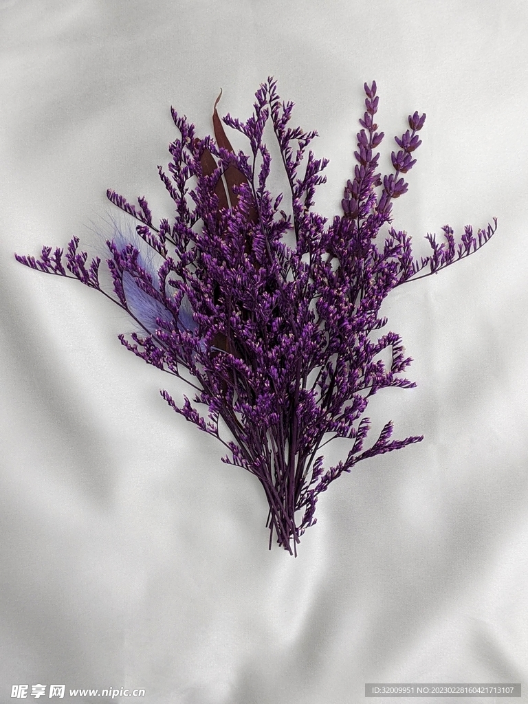 干花             