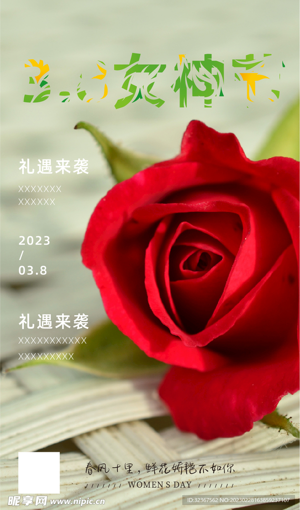 女神节玫瑰