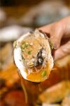 美食粉丝扇贝