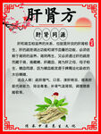 肝肾方 中医养生