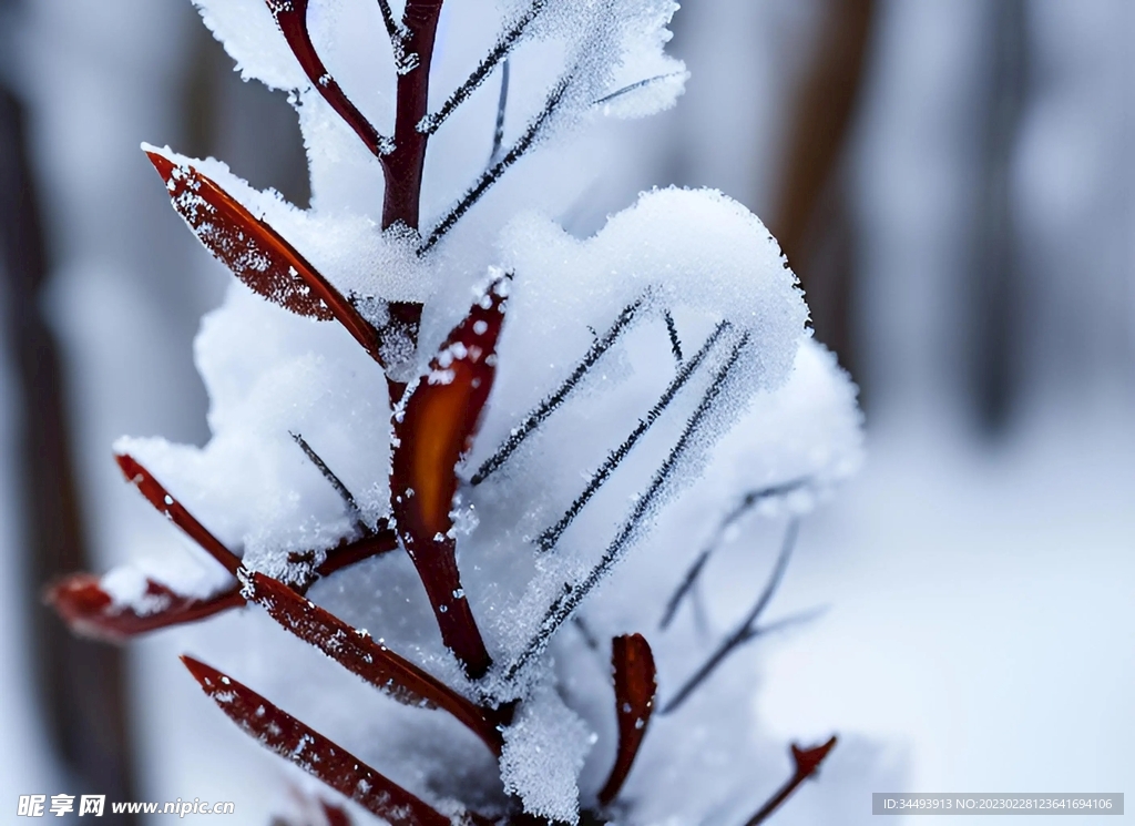 冰雪初融