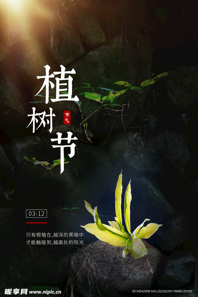 亲子植树海报