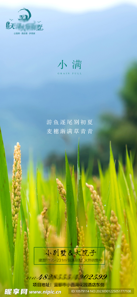 小满海报