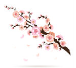 桃花插画