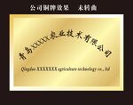 公司铜牌