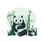 国宝大熊猫矢量插画