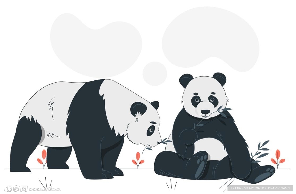 国宝 大熊猫  两个