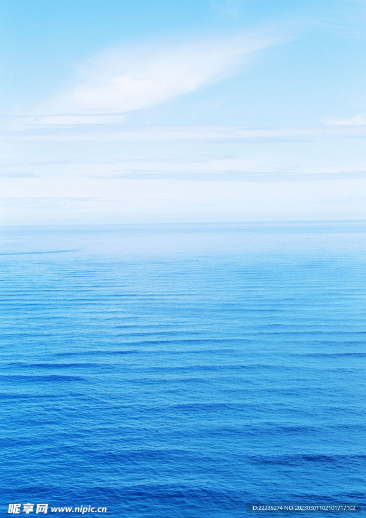 大海