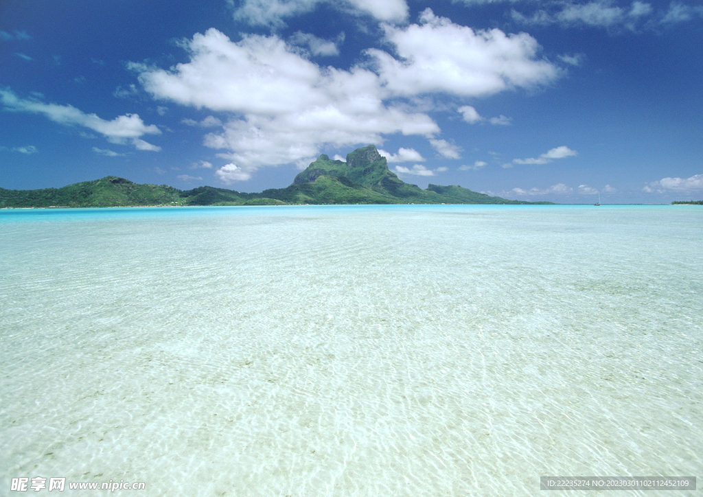大海