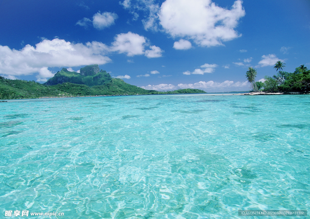 大海