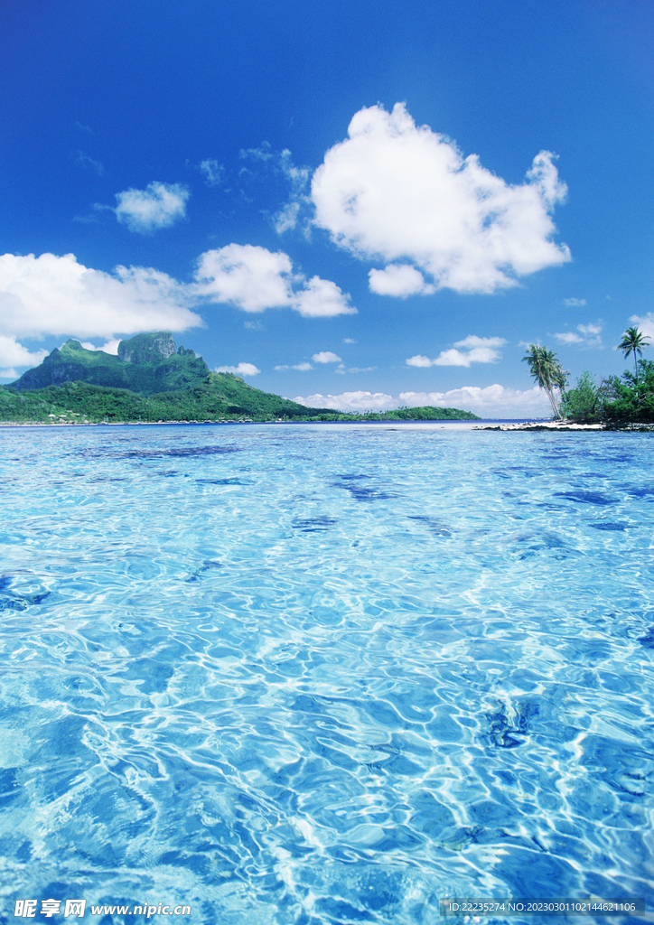 大海