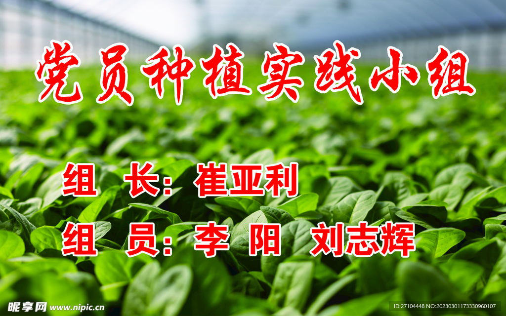 种植蔬菜