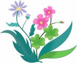 春季花草插画 四叶草