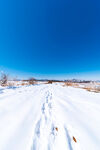 蓝天雪地